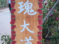 -太阳宫公园