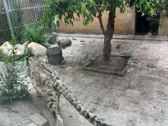 -青藏高原野生动物园