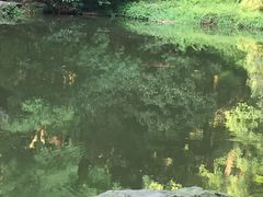 -杭州植物园