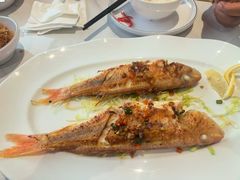 -新美姿美食水疗汇(罗湖口岸店)