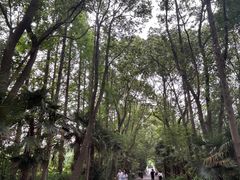 -同里国家湿地公园