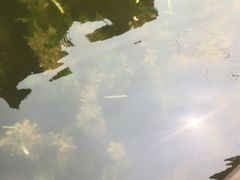 -晓港公园