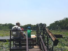 -武汉紫薇都市田园