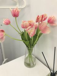 -时光海科学美肤中心