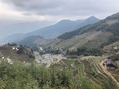 -紫鹊界梯田景区