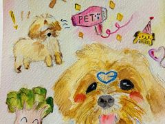 -PET WISH宠物愿望(BFC外滩金融中心店)