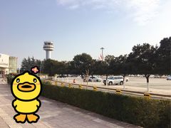 -西安咸阳国际机场-T1航站楼