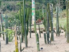 -东莞植物园