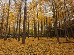 -天和晟烤鸭店(玉泉西街店)