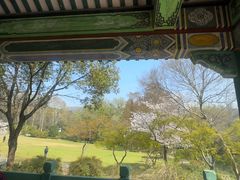 -灵谷景区