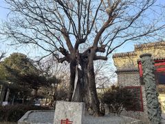 -观唐（国际）度假村温泉