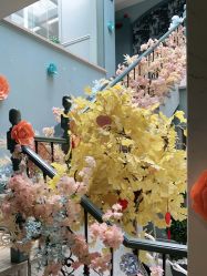 点击看大图 -静港气质医美