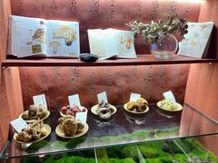 -滇野云南野生菌餐厅(陕西南路店)