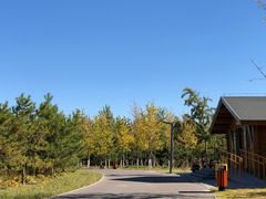 -东郊湿地公园