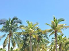 -三亚西岛海洋文化旅游区
