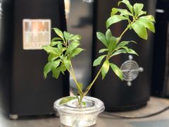 -M Stand(BFC外滩金融中心店)