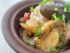 鱼头佛跳墙-食神鱼头佛跳墙(百子湾旗舰店)