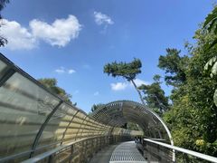 -仙岳公园