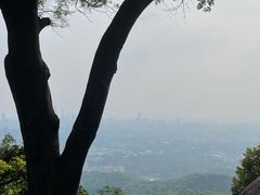 -火炉山森林公园
