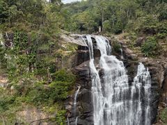 -海南热带雨林国家公园吊罗山景区