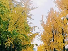 -四川大学(望江校区)