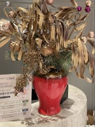 -艾维庭美学SPA