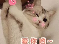 -肥猫烤翅·20年老字号(锦州道店)