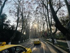 -紫霞湖公园