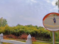 -西安浐灞国家湿地公园