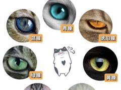 -瑞鹏宠物医院犬猫全科(真大分院)