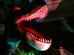 -恐龙探索乐园(磁器口店)