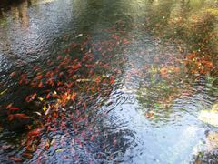 -水磨沟公园