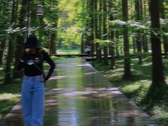 -黄海国家森林公园