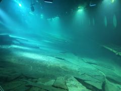 -白鹤梁水下博物馆