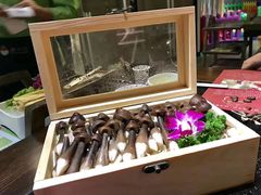 吉林姬松茸-番食园鲜食火锅(高新店)
