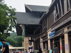 -苏州乐园森林水世界