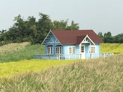 -百万葵园