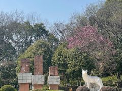 -狼山风景名胜区