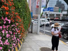-静安公园(静安寺街道)