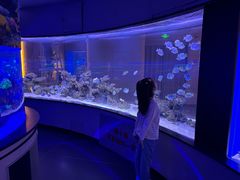 -上和臻品中国菜(花园街店)