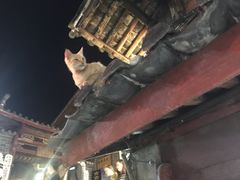 -阿安甜品(五一街店)