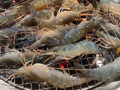 -芭提雅Amporn Seafood自助餐厅