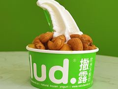 -Salud撒露欧洲冻酸奶(五道口购物中心店)