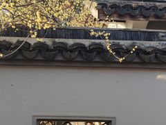 -无锡梅园公园