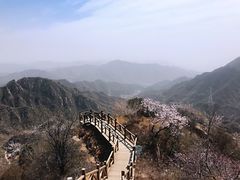 -大岭沟猕猴桃谷风景区