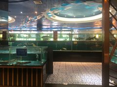 -都市阳光海鲜城(青山湖店)