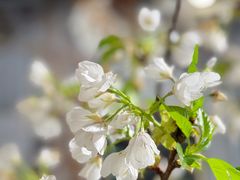 -花二家·生活馆(六运小区店)