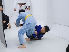 -菠萝格斗巴西柔术训练馆