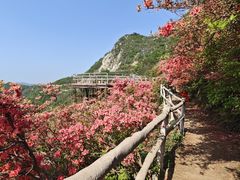 -木兰云雾山