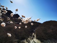-黑龙潭风景区
